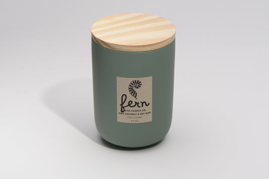 Fern